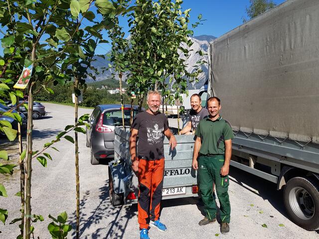 Zuletzt 2021 beteiligte sich der OGV-Ötztal an einer Obstbaum-Aktion des Landesverbandes, der alte Obstbaumsorten zu günstigen Konditionen an Vereinsmitglieder auslieferte. | Foto: OGV Ötztal