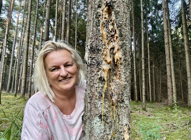 Heike Tröstner sammelt das Harz aus heimischen Wäldern. | Foto: Heike Tröstner