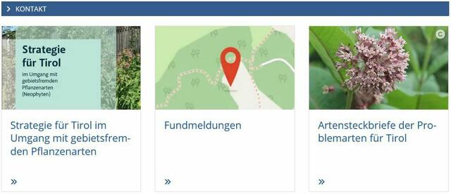 Das Kompetenzzentrum Neophyten Tirol bietet umfangreiche Informationen an. | Foto: Tiroler Bergwacht - Einsatzstelle Stubai