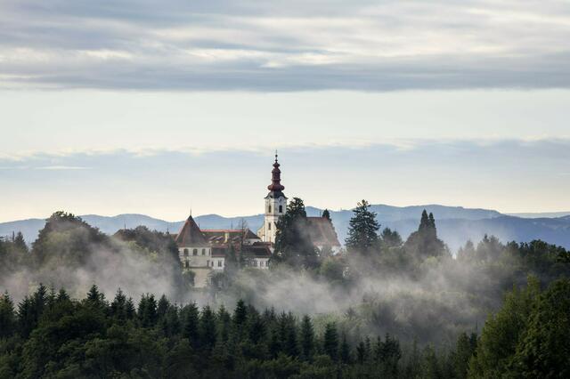 Der Nebel und Hochnebel hält sich kommende Woche hartnäckig bei milden Temperaturen. /Schloss Hollenegg | Foto: Leonhard Hilzensauer