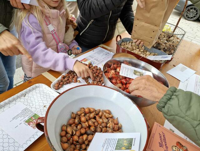 Reißenden Absatz fanden die vielen Blumenzwiebel heimischer Naturpflanzen. | Foto: Daniela Hofinger