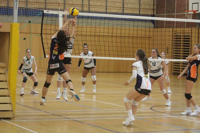 Foto: MeinBezirk/Hofmüller