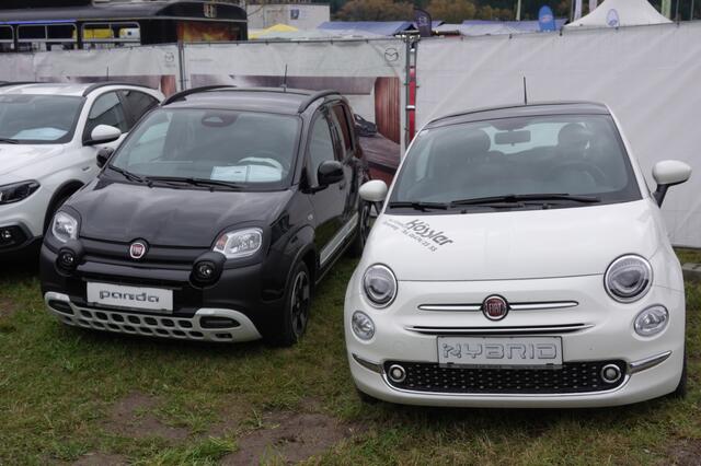 Foto: Michael Blinzer