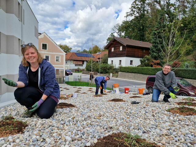 Öko-Nachrüstung: v. l. Milena Kaunert, Erich Wahl, Martin Springer und Daniela Hofinger (nicht im Bild) verwandelten die Schotterwüste einer Garagenabfahrt in ein Trockenbiotop. | Foto: Daniela Hofinger