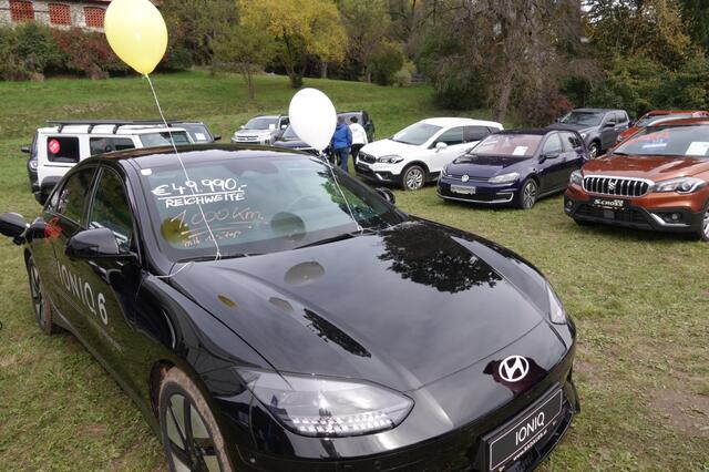 Foto: Michael Blinzer