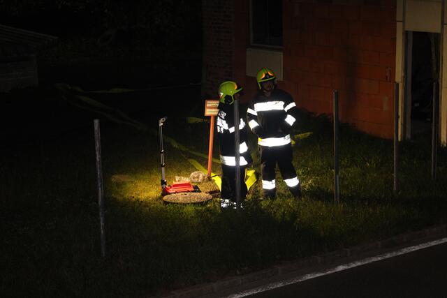 Foto: OFM Patrick Marcher, BFVVO