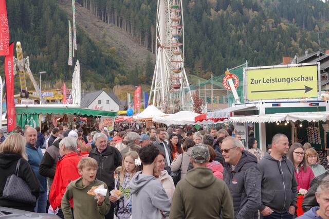 Foto: Michael Blinzer