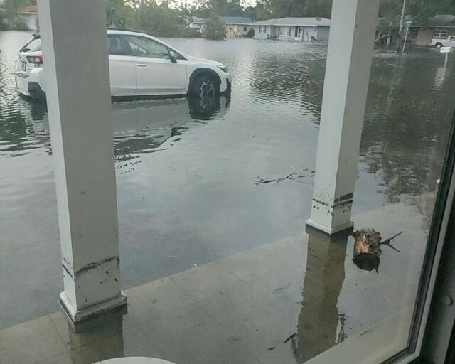 Blick vom Eingang des Hauses einer Freundin in Florida. | Foto: Privat
