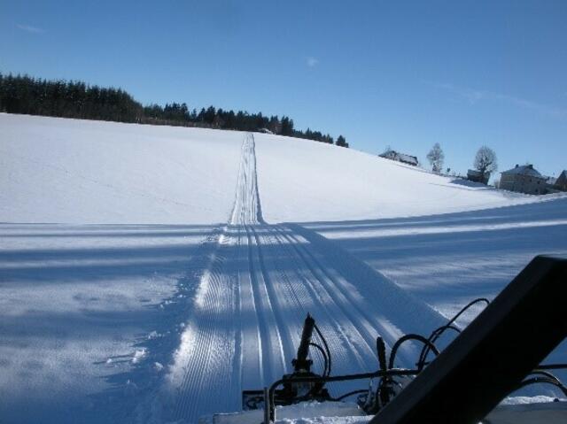 Ob Anfänger oder Profi – Langlaufen bringt zahlreiche gesundheitliche Vorteile mit sich. | Foto: Gemeinde