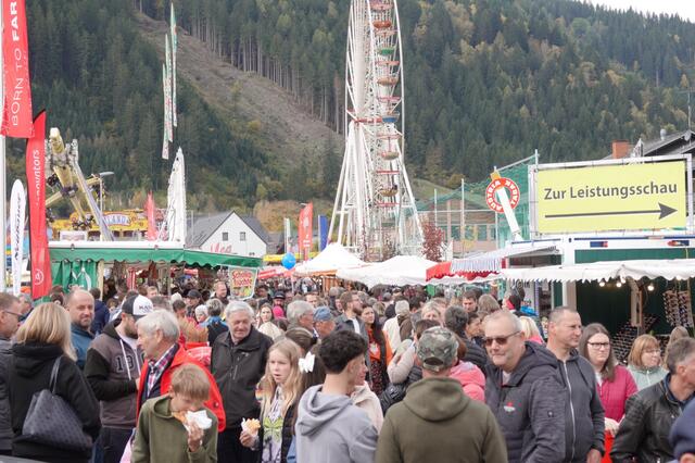 Foto: Michael Blinzer