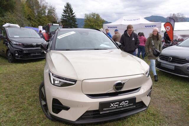 Foto: Michael Blinzer