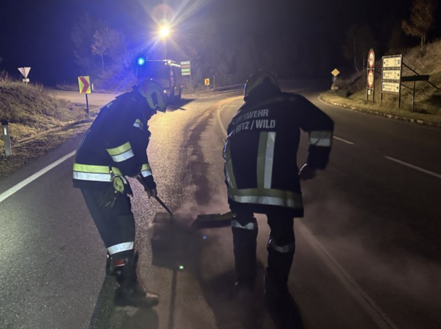Die Einsatzkräfte wurden vom Einsatzleiter auf mehrere Abschnitte aufgeteilt, um die Umweltverschmutzung bzw. die Gefahr rasch beseitigen zu können.  | Foto: FF Göpfritz an der Wild