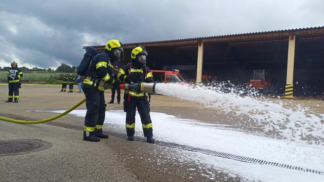 15 Kameraden der Feuerwehr Wartberg stellten ihr Können bei der Branddienstleistungsprüfung unter Beweis. | Foto: FF Wartberg/Krems
