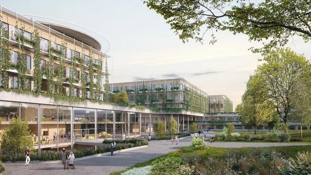 Der neue Bau wird aus den bestehenden Pavillons vier zentrale Gebäude machen.  | Foto: Visualisierung: AHA - Austrian Healthcare Architects/expressive