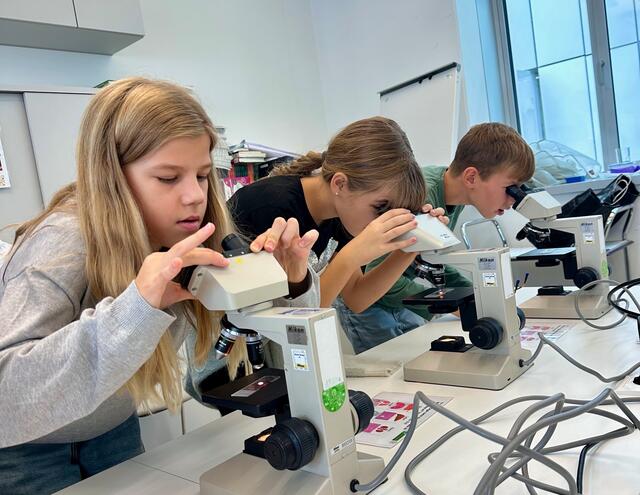"Ran an die Mikroskope“ hieß es für die Schülerinnen und Schüler der MS Kirchberg auf der Kinderuni Graz. | Foto: MS Kirchberg