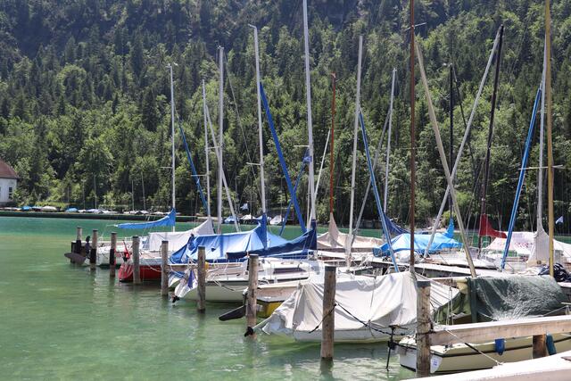 Plansee | Foto: Reichel