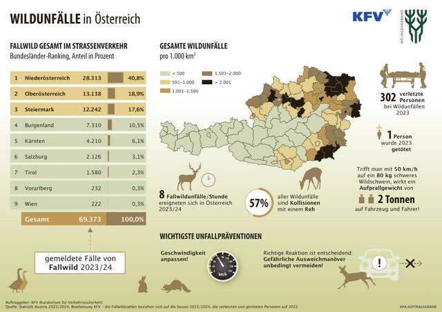 Wildunfälle in ganz Österreich im Überblick  | Foto: © KFV/APA-Auftragsgrafik