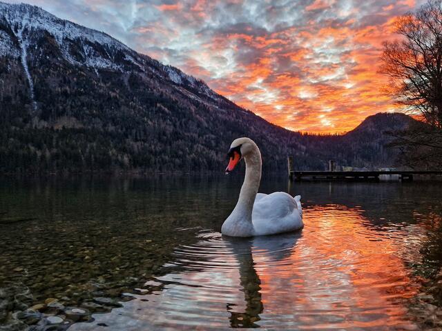 Abendlicher Stimmung am Lunzer See knapp nach Sonnenuntergang | Foto: Christian Hahn