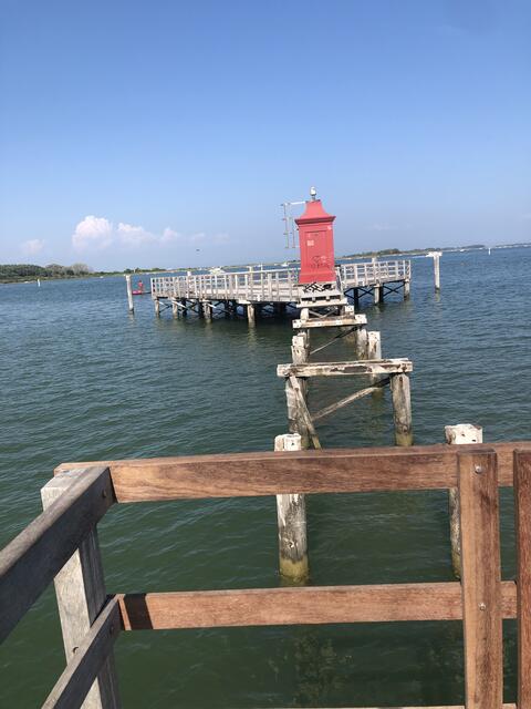 Nudeln aus Italien sind für Elisabeth Schüttengruber-Holly der Klassiker. | Foto: Alexandra Goll