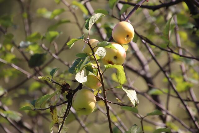 Foto: Martin Wurglits