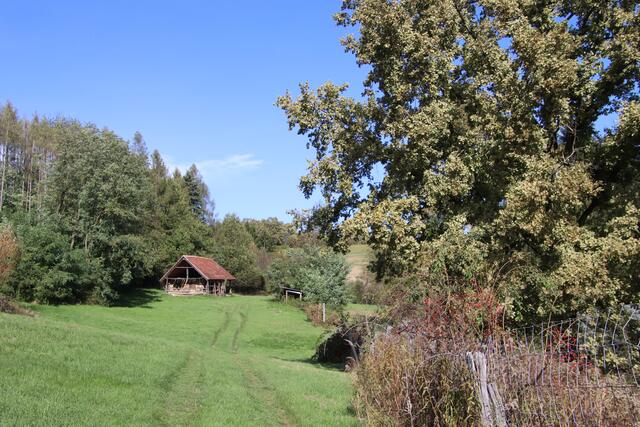 Zur Kulturlandschaft des Burgenlandes gehört ein Mosaik aus Wiesen, Bächen, Wäldern, Auen, Streuobstwiesen, Bäumen und Teichen. | Foto: Martin Wurglits