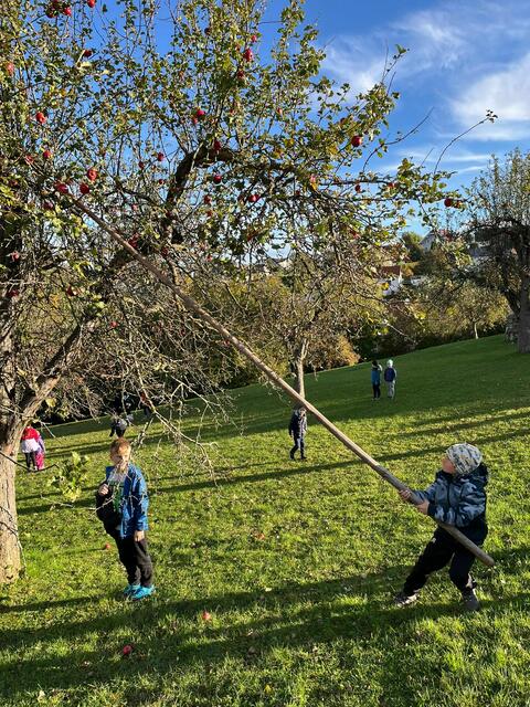 Viel Spaß hatten die Kinder auch beim Apfelernten. | Foto: Christian Pinzker