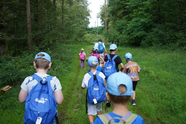 Waldführung im Rahmen der AMAG-Kinderferienaktion. | Foto: AMAG