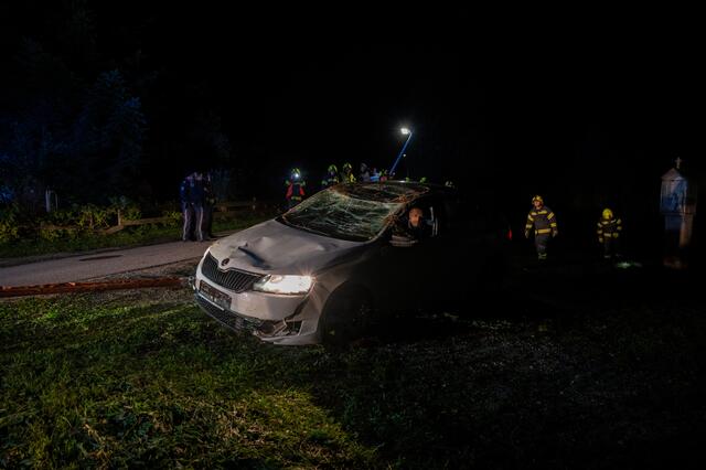 Foto: Fotokerschi.at/David Rauscher