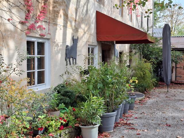 Aus Toro Toro wird Stefan´s.