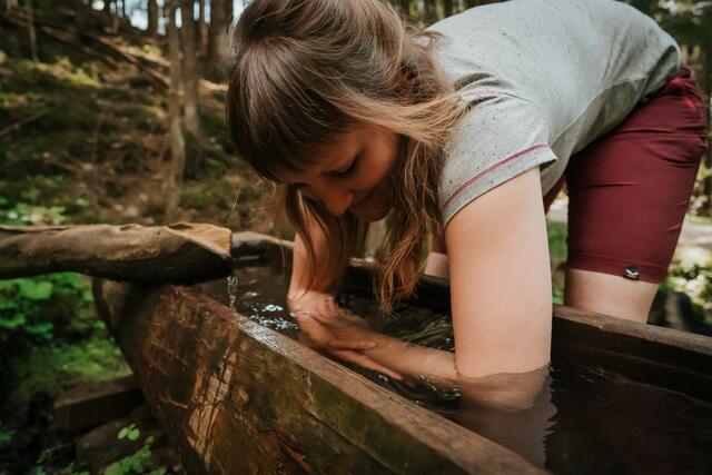 Um das mentale Wohlbefinden zu stärken, wurde in Ferndorf der Kneipp-Panorama-Rundweg Mirnock saniert. | Foto: Daniela Ebner