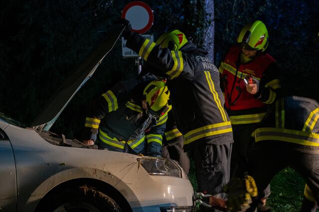 Foto: Fotokerschi.at/David Rauscher