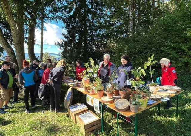 Einsatzstelle Gleisdorf: Der Lebensraum Baum wurden den Interessierten nähergebracht. | Foto: Berg- und Naturwacht Weiz
