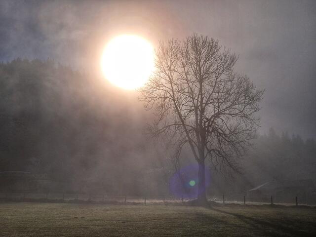 Zur Morgenstunde scheinen die Sonnenstrahlen durch den Nebel in Sankt Sebastian | Foto: Christian Hahn