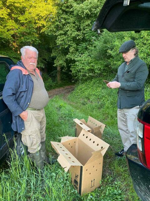 Jagdleiter Rainer Schwarz (links) und Hubert Redtensteiner bergen die rechtzeitig entdeckten Kitze. | Foto: Stadtgemeinde Güssing