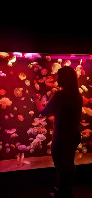 Kristina Klaic, angehende Gastronomiefachfrau aus Pressbaum hat ein Praktikum in Spanien gemacht. | Foto: privat