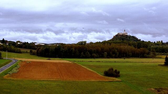 Das Jagdrevier umfasst die Fluren von Güssing, Krottendorf, St. Nikolaus, Langzeil und Ludwigshof. | Foto: Simon Michl