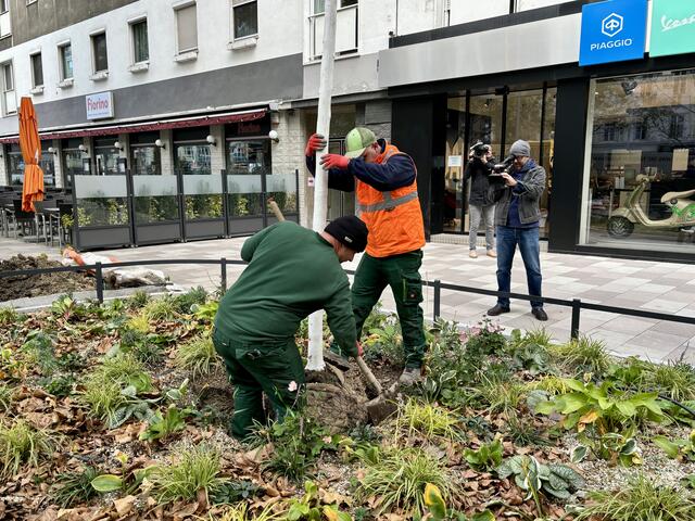 Foto: Marlene Graupner/MeinBezirk