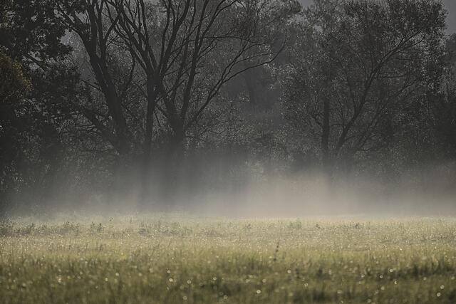 Foto: Verein "Rund ums Moor"