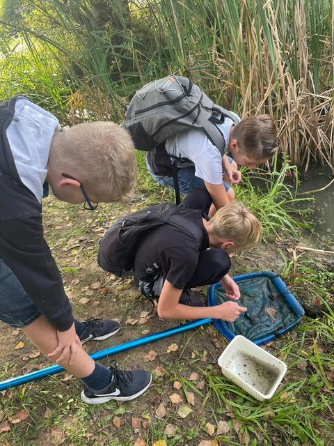 Foto: Verein "Rund ums Moor"