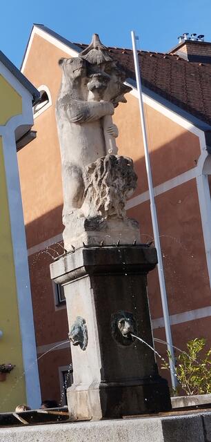 Bäriges am St. Gallener Marktplatz  | Foto: Veronika Frank