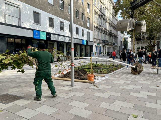 Foto: Marlene Graupner/MeinBezirk