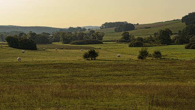 Foto: Verein "Rund ums Moor"