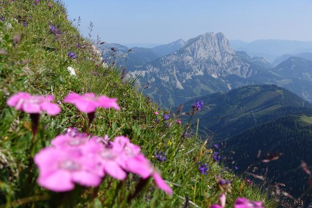 Da geht einem das Herz auf: Kraftplätze bietet der Bezirk Leoben so weit das Auge reicht. | Foto: Bergrettung Vordernberg