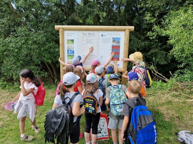 Foto: Verein "Rund ums Moor"