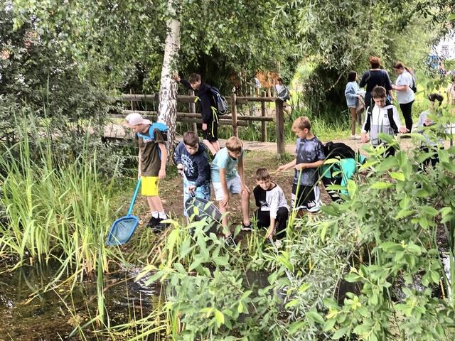 Foto: Verein "Rund ums Moor"