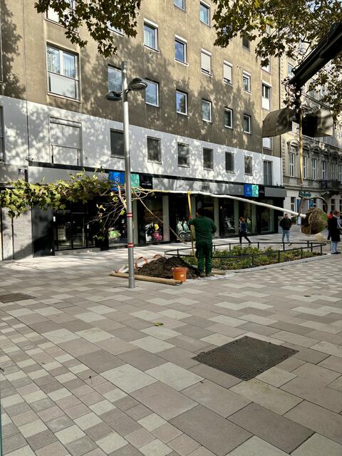 Foto: Marlene Graupner/MeinBezirk