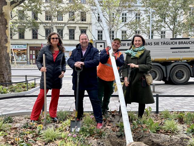 Als symbolischen Schlusspunkt pflanzen Ulli Sima, Alexander Nikolai (beide SPÖ) sowie Selma Arapovic (Neos) einen Baum am Rosl-Berndt-Platz. | Foto: Marlene Graupner/MeinBezirk