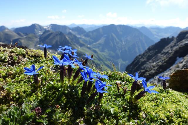 Unsere Heimat bietet so viele Naturschätze, dass Touristen von weit her kommen, um sie zu sehen. | Foto: Bergrettung Vordernberg