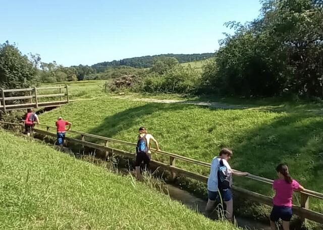 Foto: Verein "Rund ums Moor"