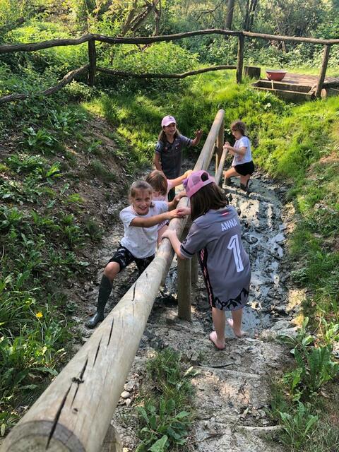 Foto: Verein "Rund ums Moor"